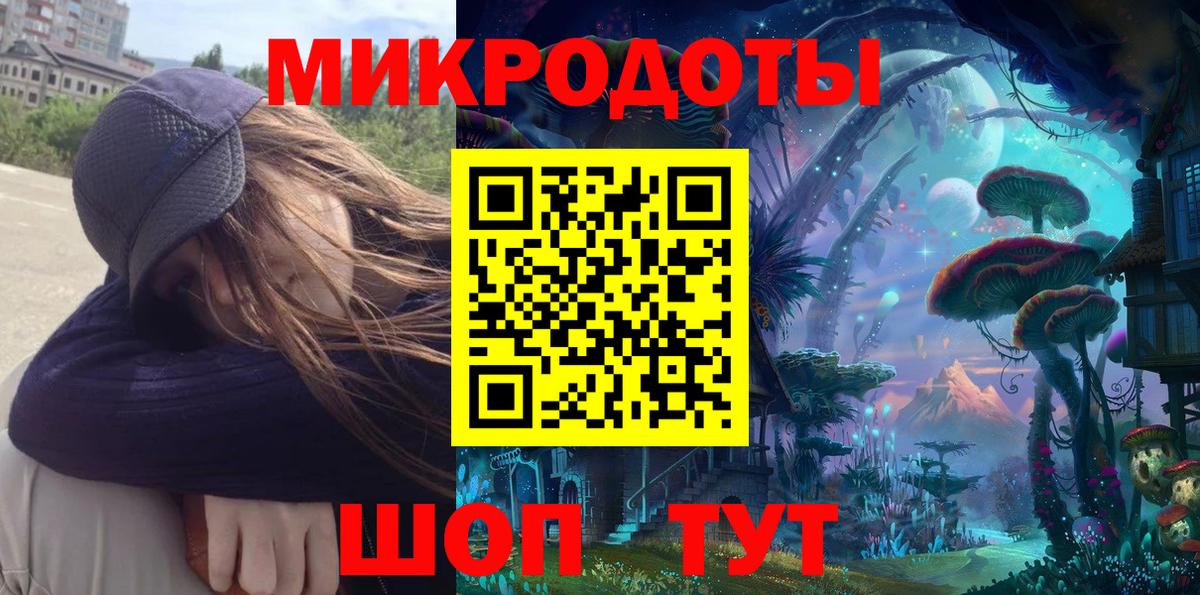 Псилоцибиновые грибы Psilocybe Иркутск