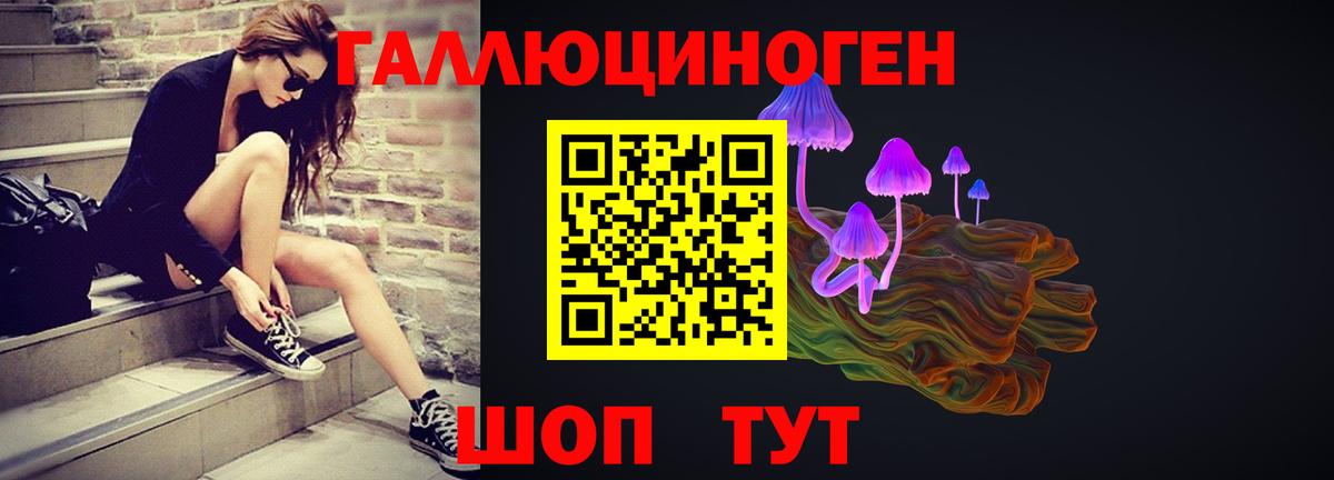 Галлюциногенные грибы Psilocybe  Вход с VPN  Иркутск 